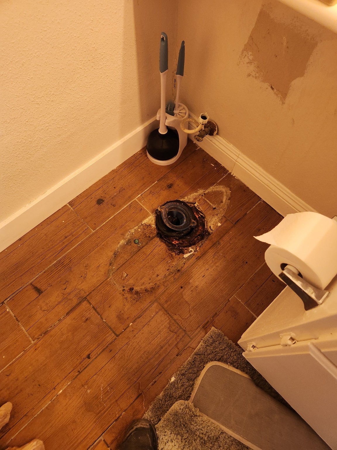 Toilet Flange Repair