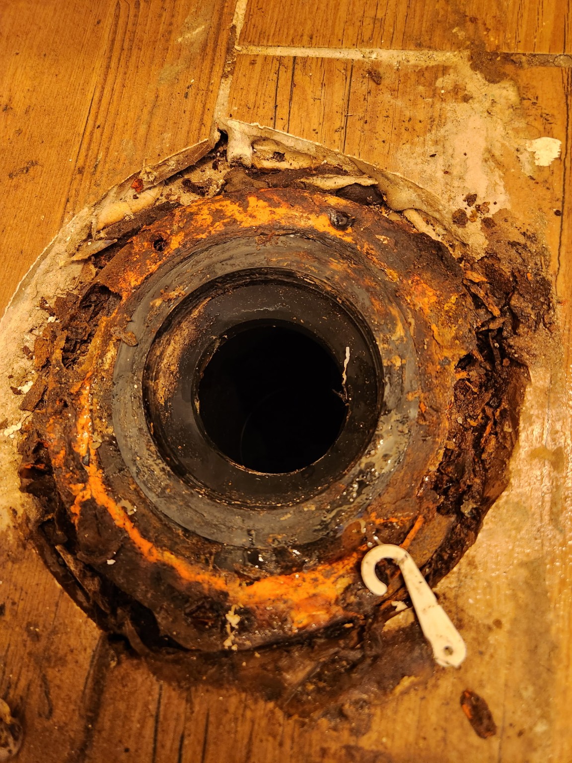 Toilet Flange Replacement