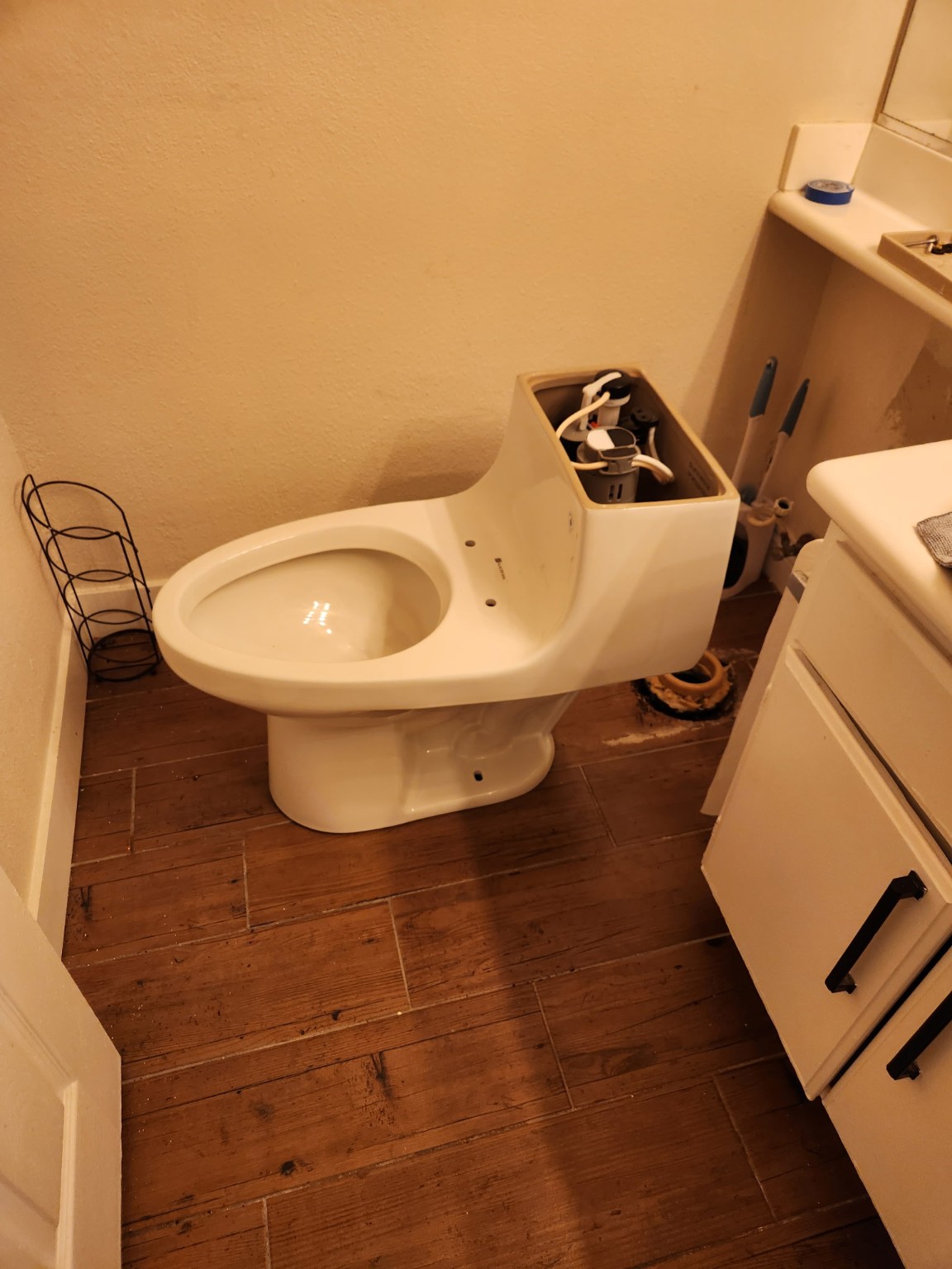 Toilet Repair