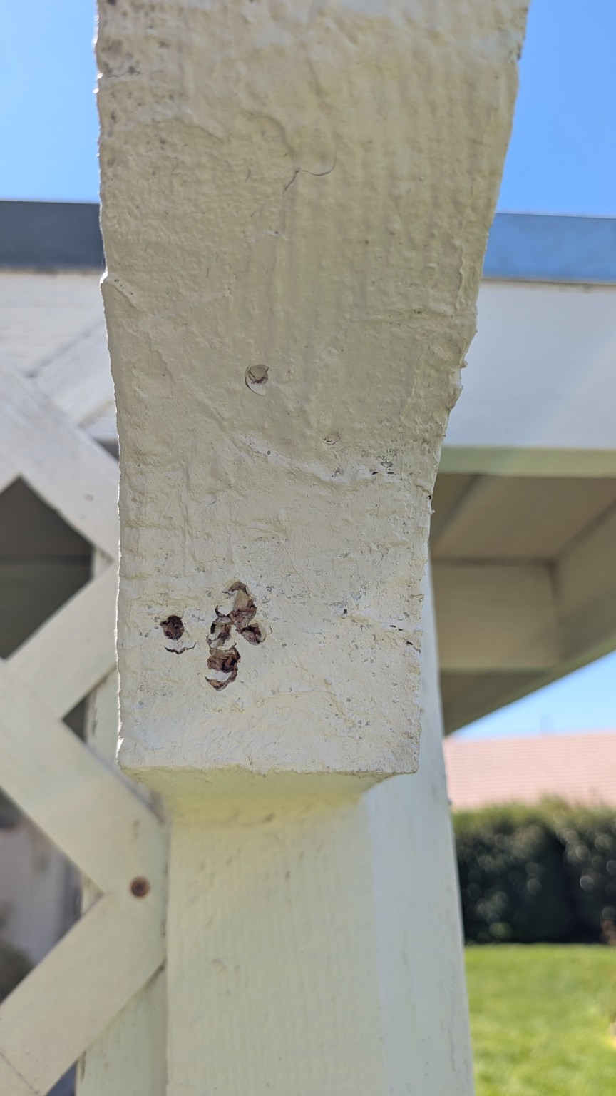 Weathered Wood Repair