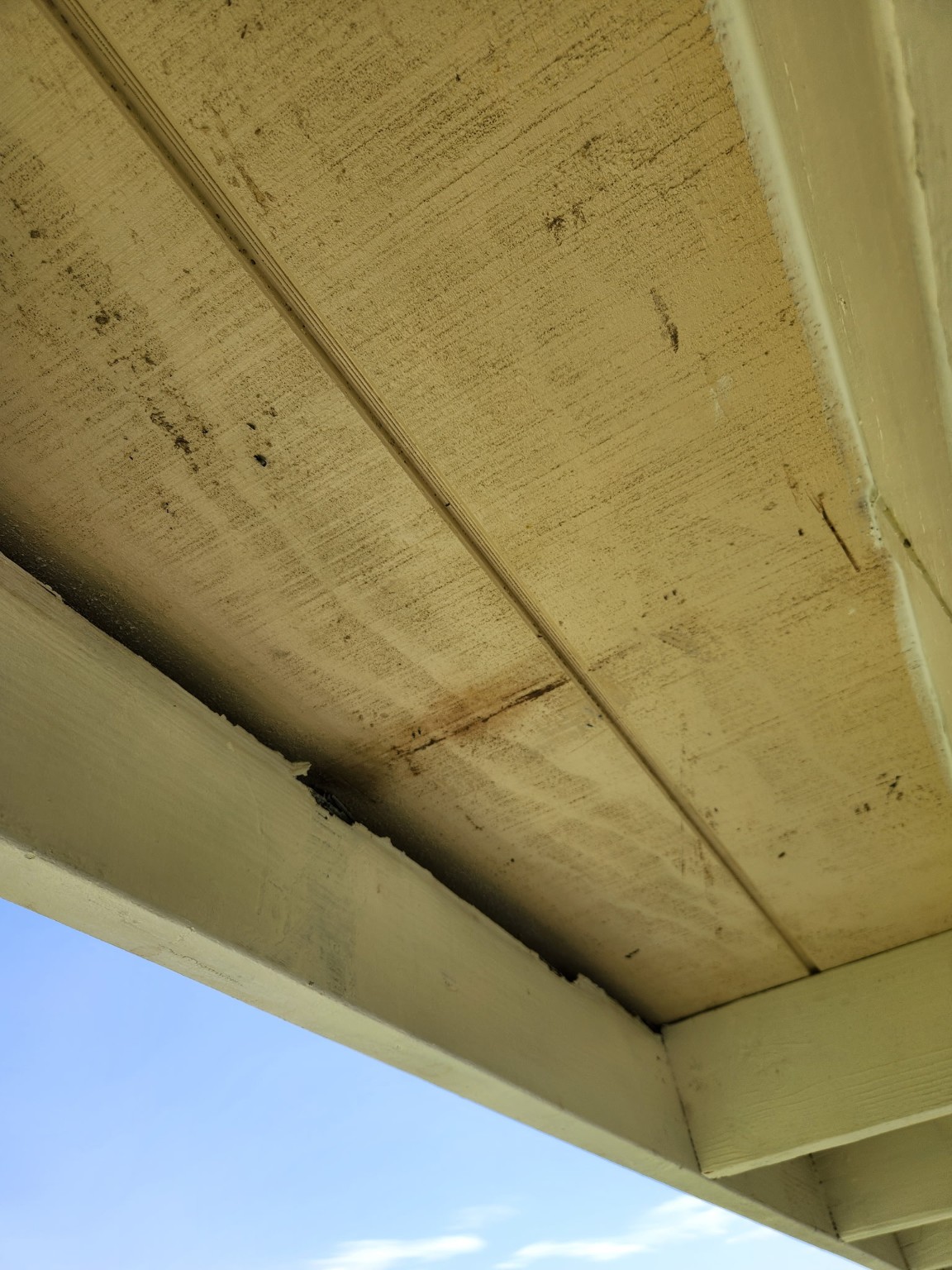 Patio Ceiling Repair