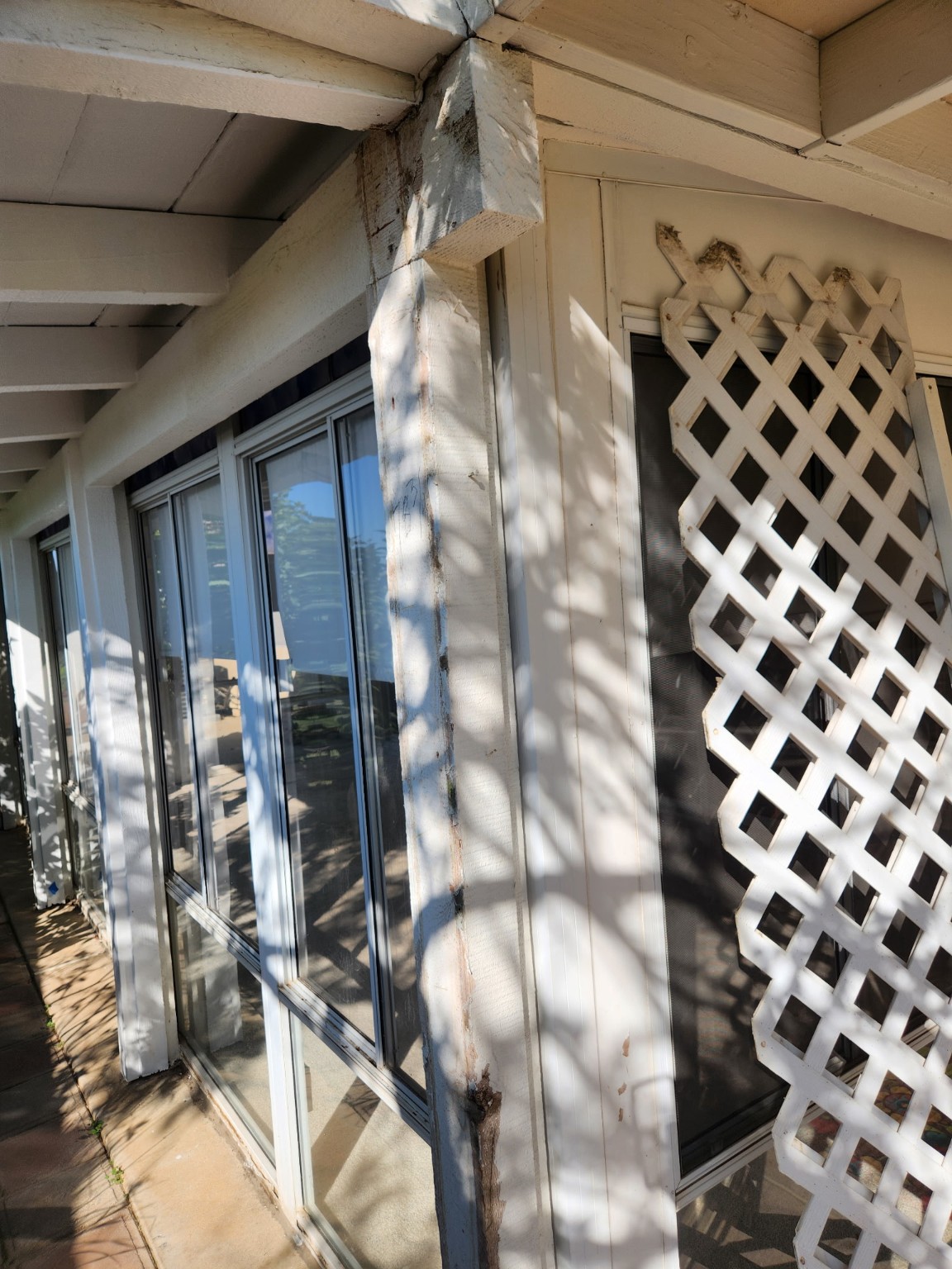 Patio & Lattice Repair