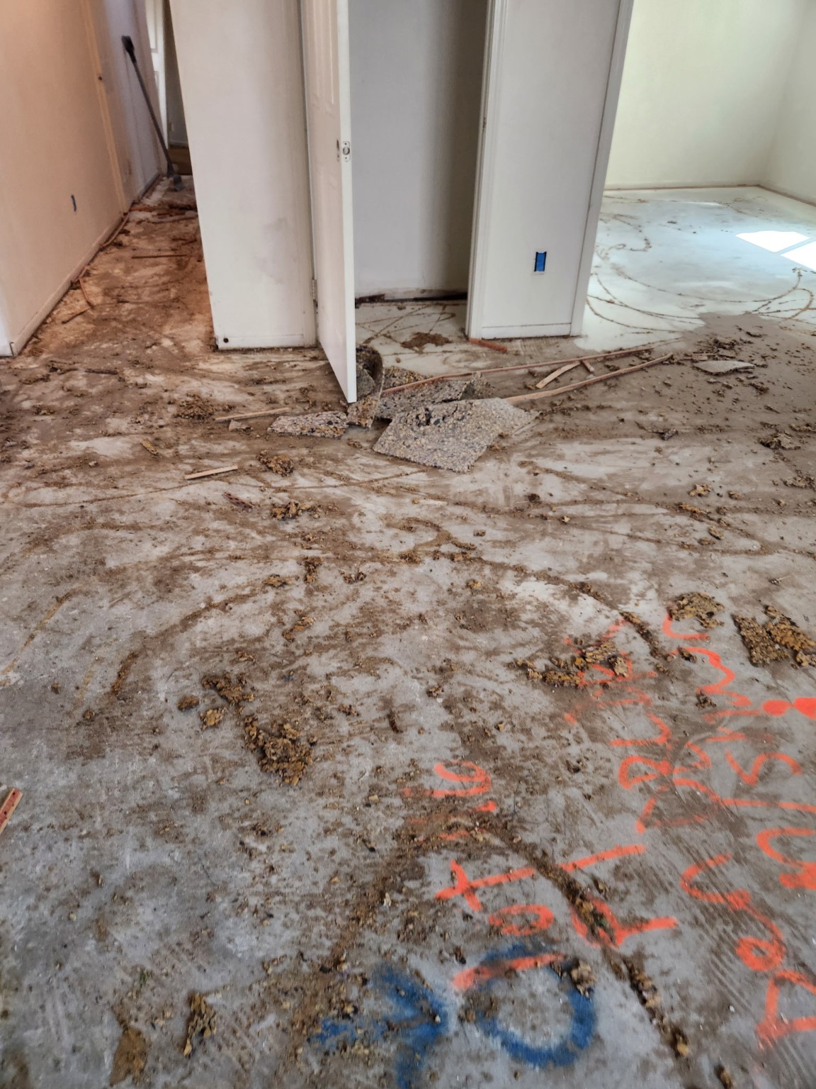 Interior Demo & Repair