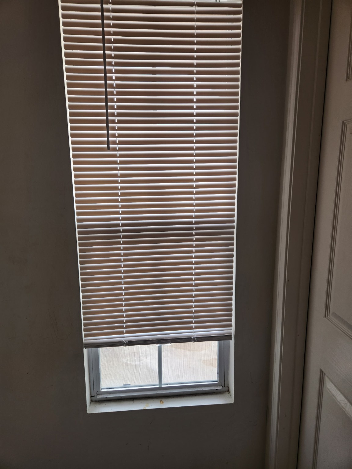 Blind & Window Service