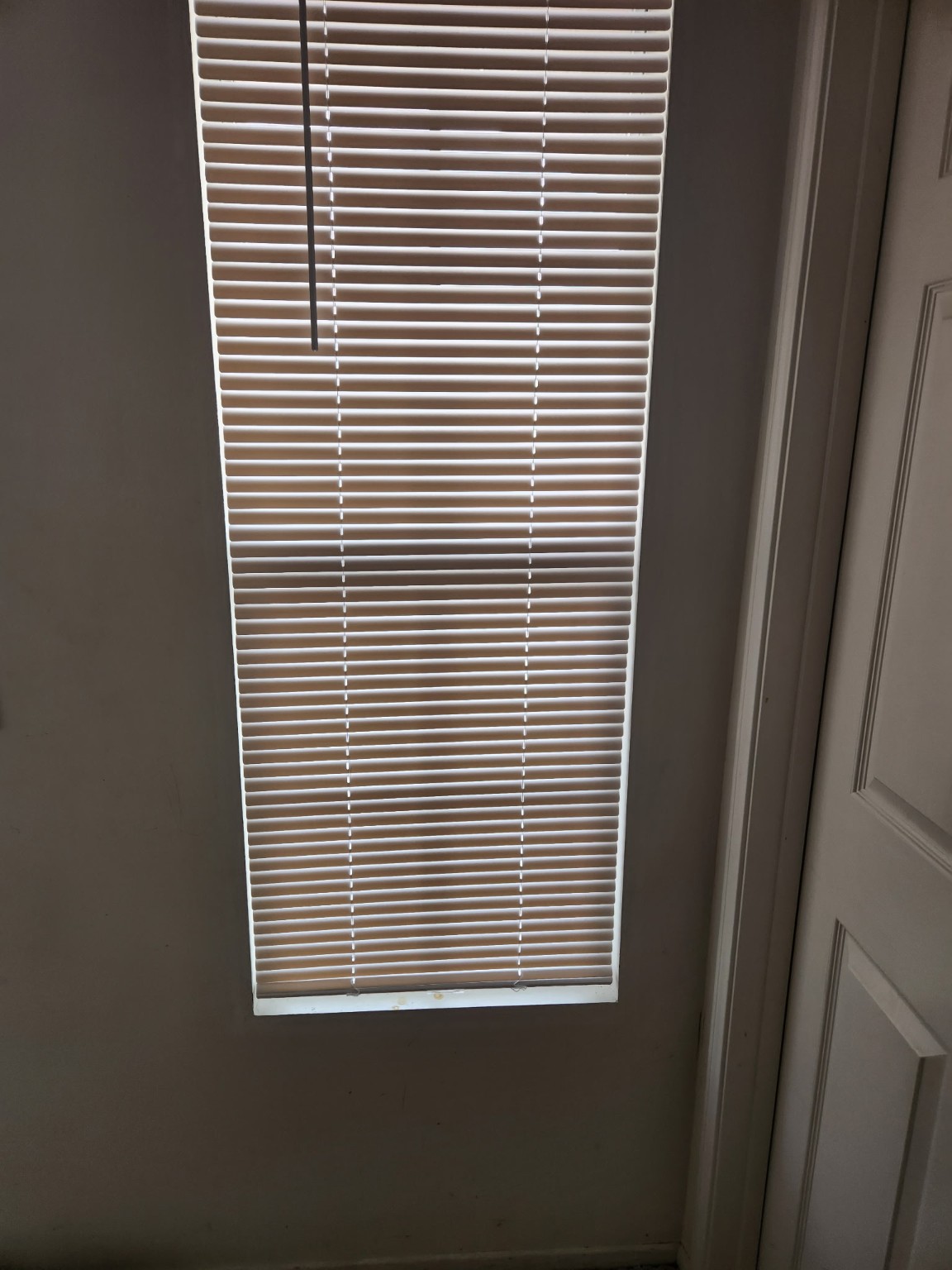 Window Blind Repair
